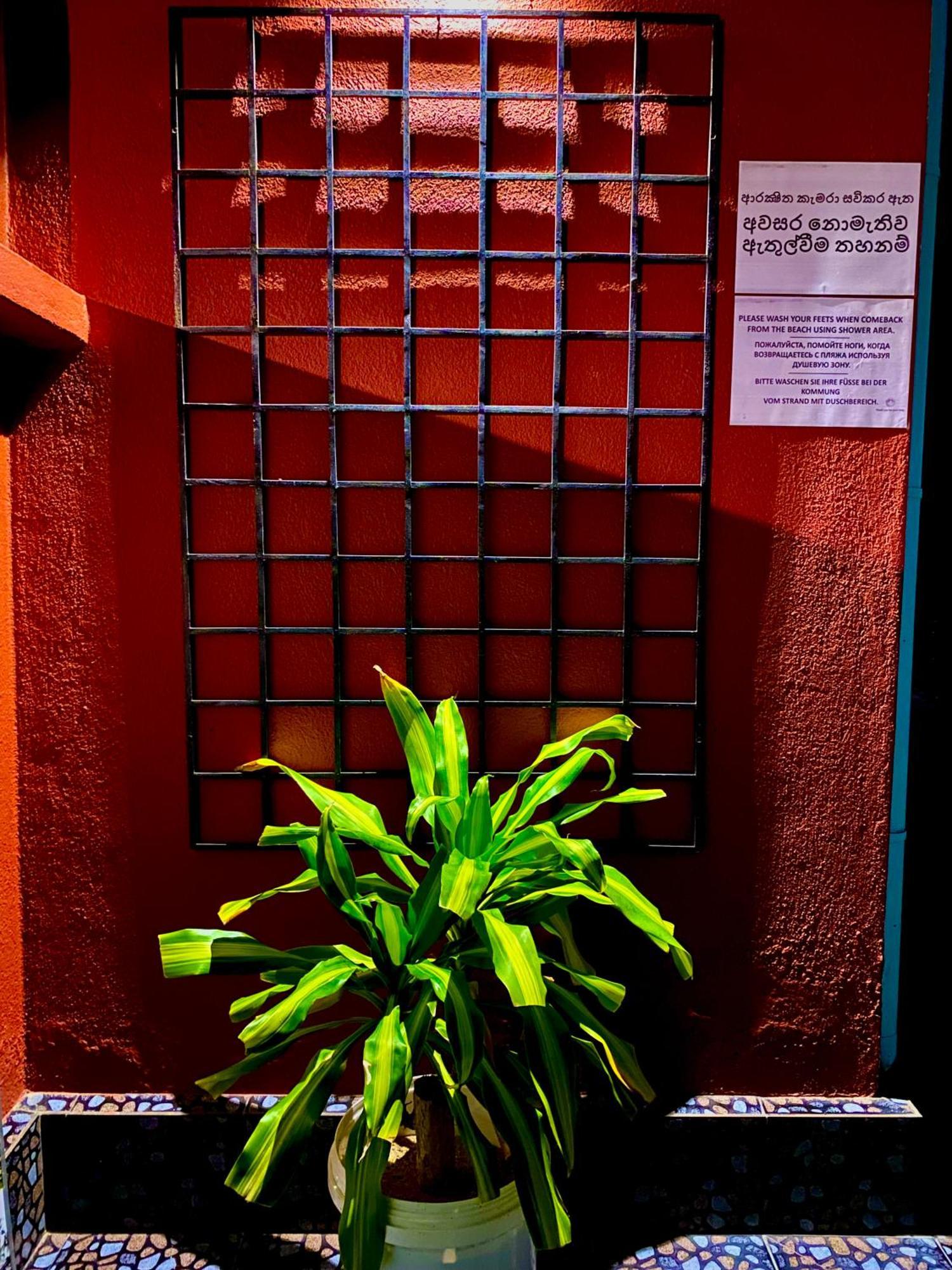 Tamara Guest house 2*